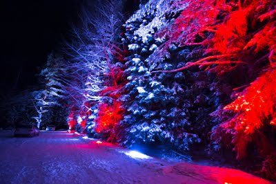 https://goo.gl/photos/AooR3AP2vDicQutN7